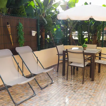 Brooklyn&fennel House *